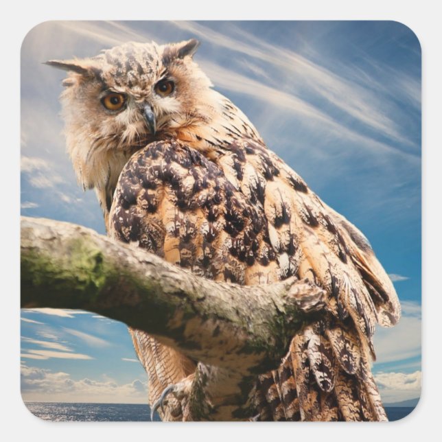 Pondering Owl Square Sticker (Front)