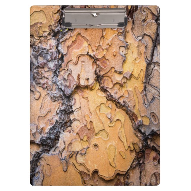 Ponderosa pine bark, Washington Clipboard (Front)