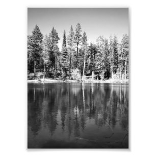 Ponderosa Pines Reflection Photo Print