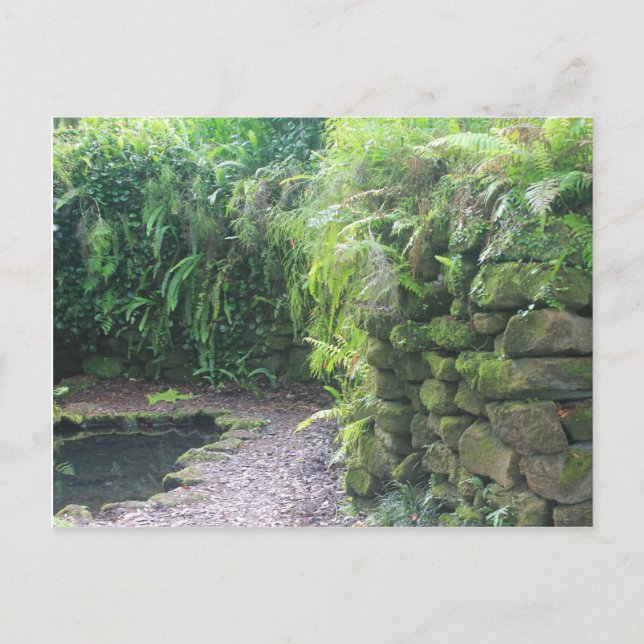 Pond's Grotto Postcard (Front)