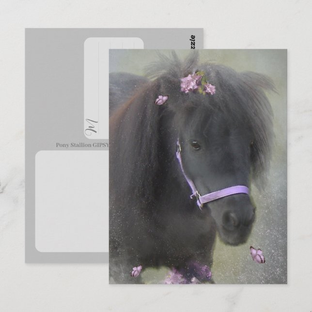 Poney - Carte postale (Devant / Derrière)