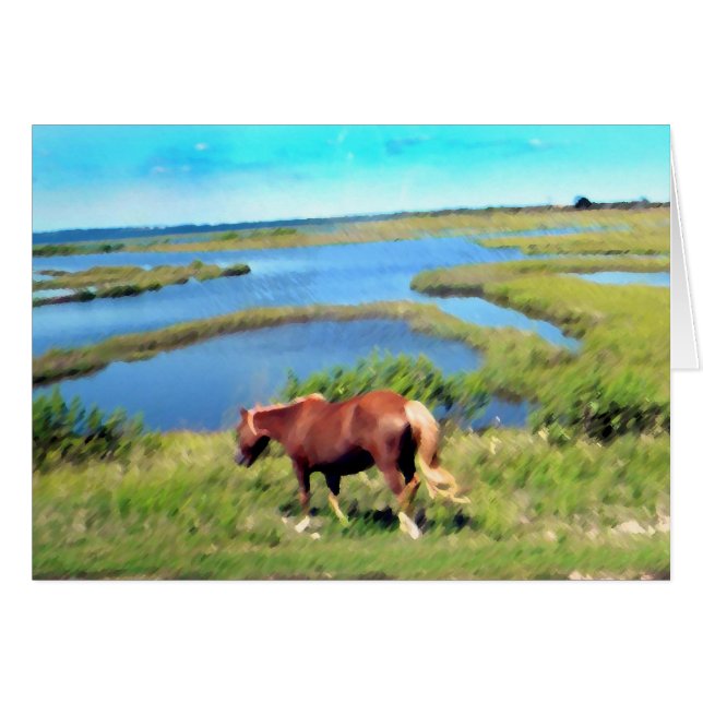 Poney d'Assateague (Devant horizontal)