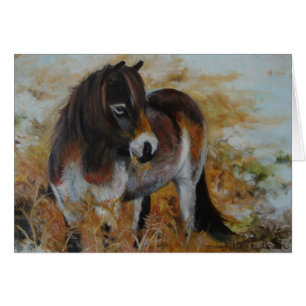 Poney d'Exmoor