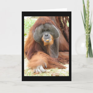 Pongo Orangutan Ape Greeting Card