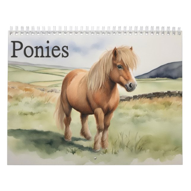 Ponies  calendar (Cover)