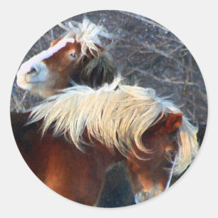 ponies classic round sticker