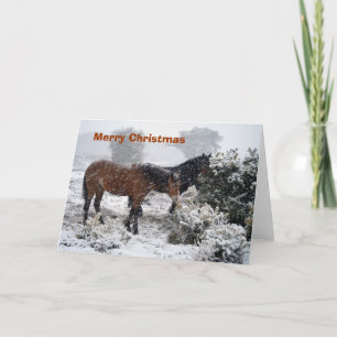 Ponies-in-snowstorm Christmas card