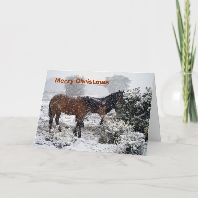 Ponies-in-snowstorm Christmas card (Front)