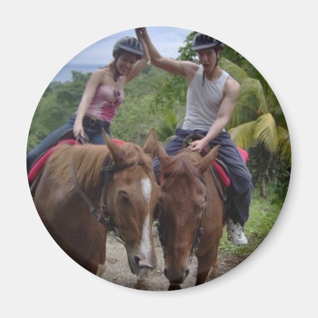 ponies magnet (Front)