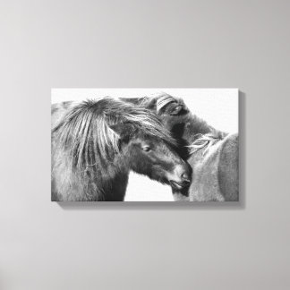 Ponies Scratch Canvas Print