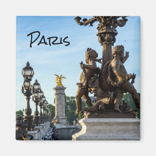 Pont Alexandre lll bridge - Paris, France Magnet
