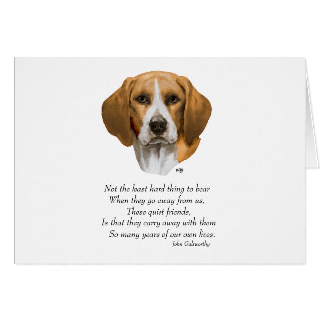 Pont arc-en-ciel beagle (Devant horizontal)