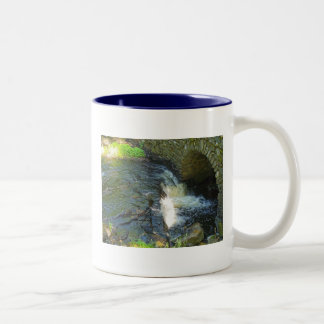 Pont au-dessus de tasse préoccupée des eaux