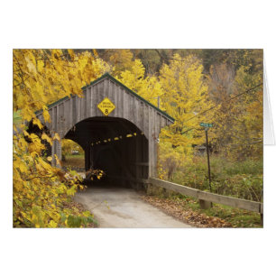 Pont couvert, Vermont, États-Unis 2