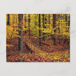 Pont d'automne, carte postale