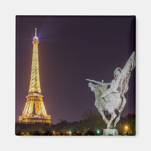 Pont de Bir-Hakeim at night - Paris, France Magnet (Front)