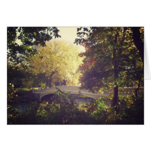 Pont De Bow encadré Par Des Arbres, Central Park,