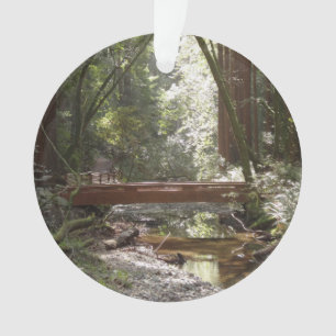 Pont de Muir Woods II