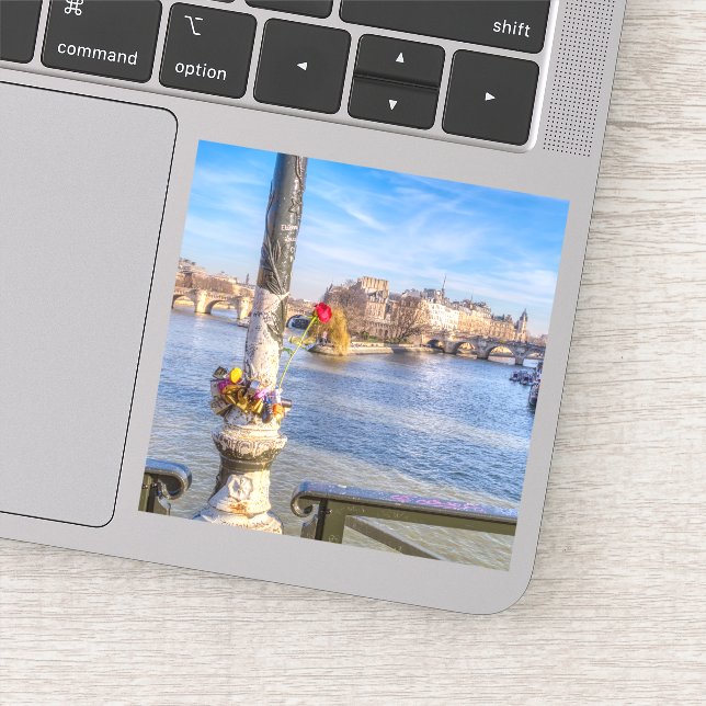 Pont des Arts on Valentine's day - Paris (Detail)