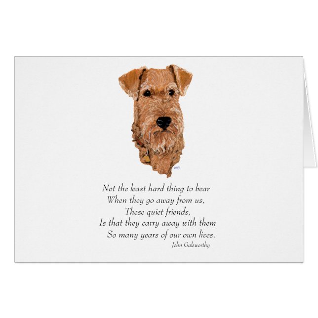 Pont Irish Terrier Rainbow (Devant horizontal)