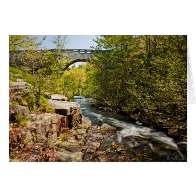Pont sur la rivière (Devant horizontal)