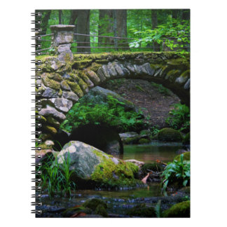 Pont Troll - Carnet
