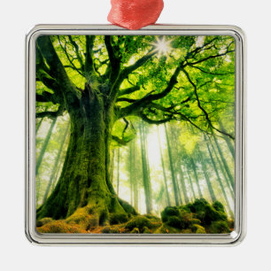 Ponthus' Beech Metal Ornament