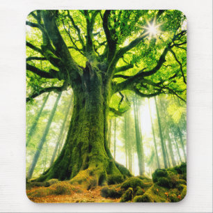 Ponthus' Beech Mouse Pad