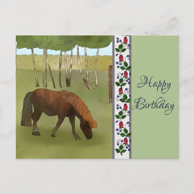 Pony auf der Weide Postcard (Front)