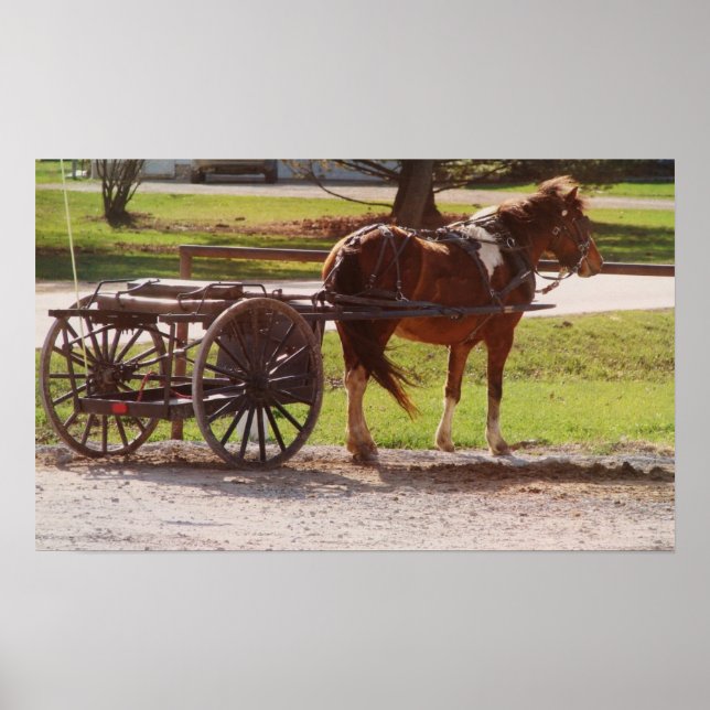 Pony Cart Poster (Front)