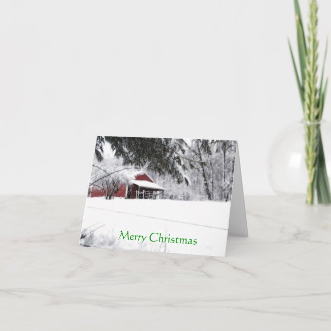 Pony Christmas Holiday Card (Front)