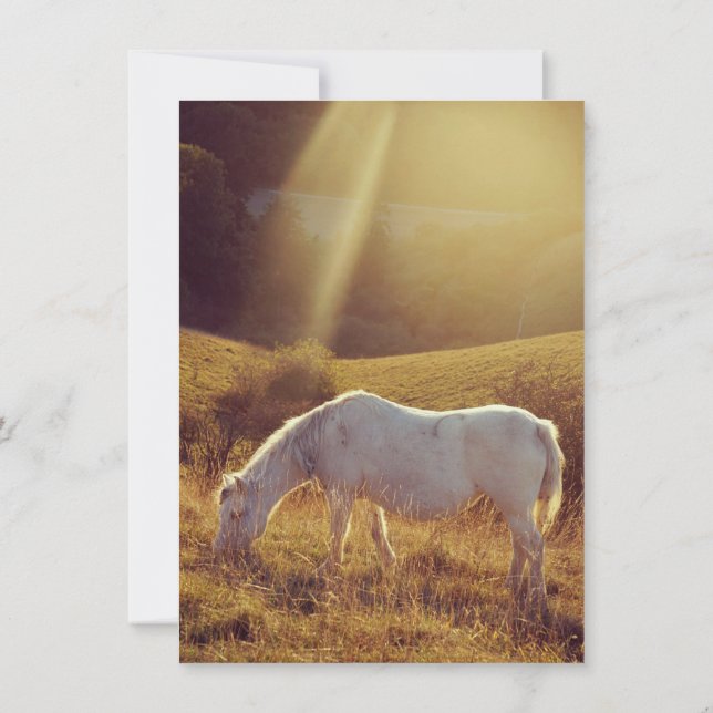 Pony Grazing Invitation (Back)