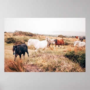 PONY HERD IN THE AUTUMN POSTER