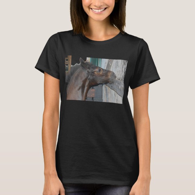 Pony/Horse T-Shirt (Front)