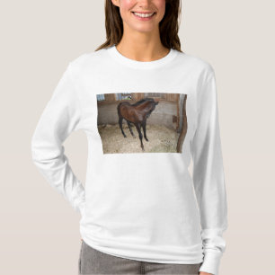 Pony/Horse T-Shirt
