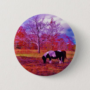 PONY IN A RAINBOW  coloured field 2 Inch Round Button