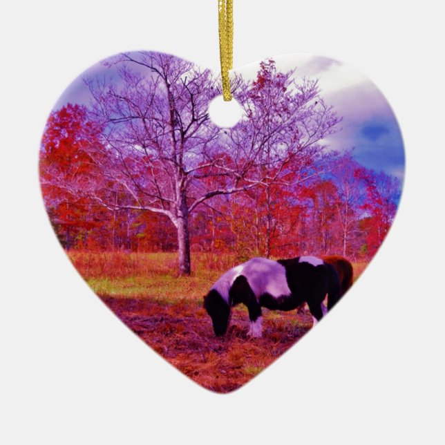 PONY IN A RAINBOW  coloured field Ceramic Ornament (Front)
