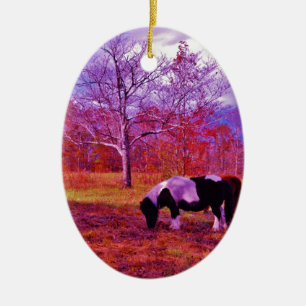 PONY IN A RAINBOW  coloured field Ceramic Ornament