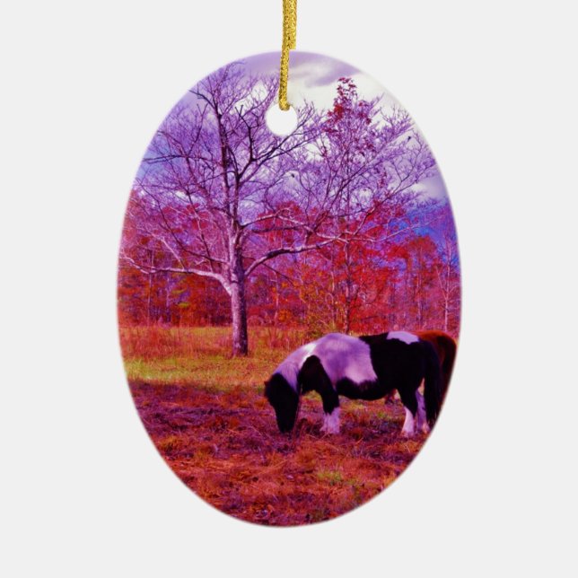PONY IN A RAINBOW  coloured field Ceramic Ornament (Front)