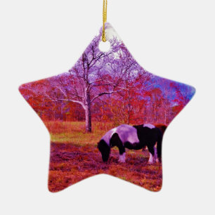 PONY IN A RAINBOW  coloured field Ceramic Ornament
