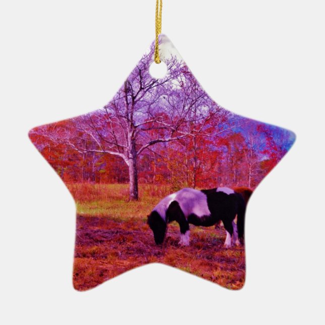 PONY IN A RAINBOW  coloured field Ceramic Ornament (Front)