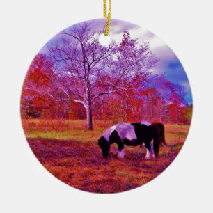 PONY IN A RAINBOW  coloured field Ceramic Ornament