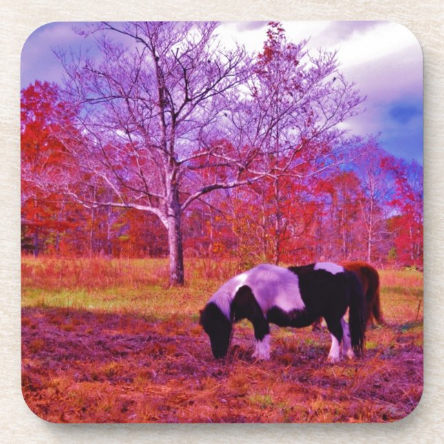 PONY IN A RAINBOW  coloured field Coaster (Front)