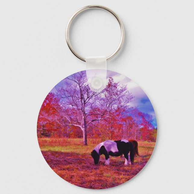PONY IN A RAINBOW  coloured field Keychain (Front)