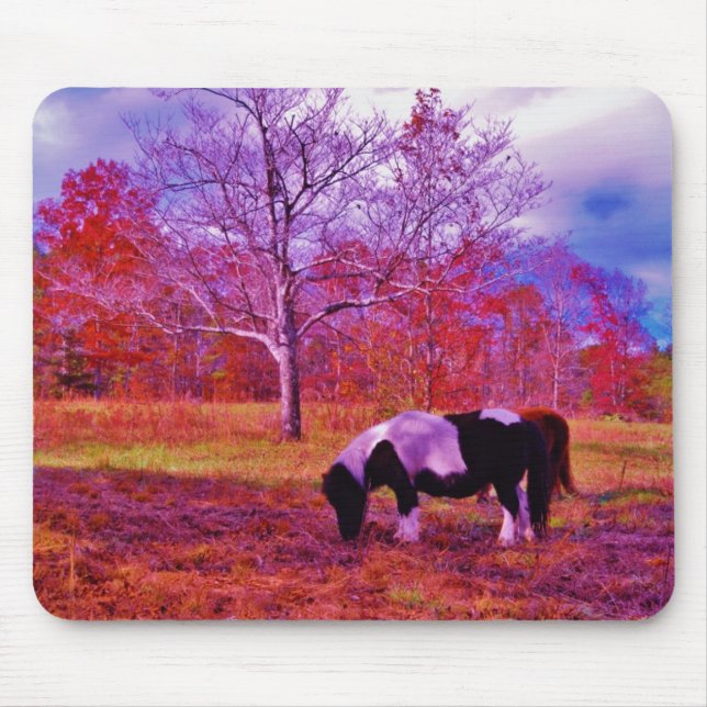 PONY IN A RAINBOW  coloured field Mouse Pad (Front)