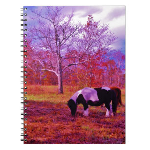 PONY IN A RAINBOW  coloured field Notebook
