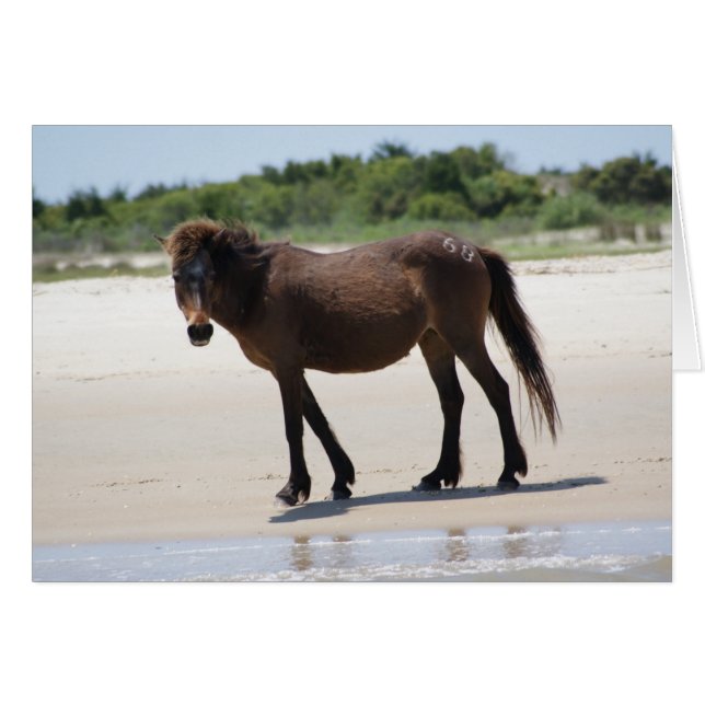 Pony in Charge (Front Horizontal)