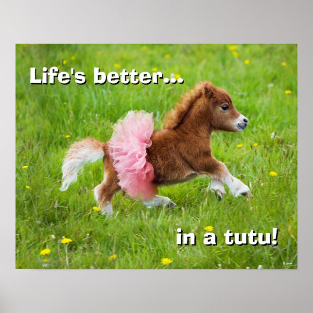 Pony in Tutu Poster (Front)