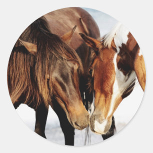 Pony Love Classic Round Sticker