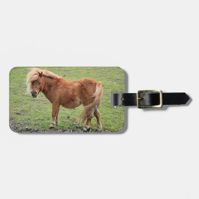 Pony Lover's custom luggage tag (Front Horizontal)